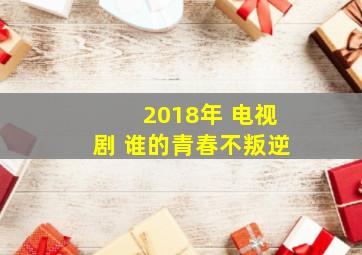 2018年 电视剧 谁的青春不叛逆